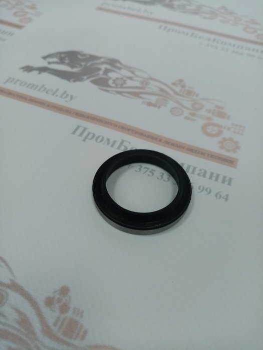 Грязесъемник R09 30х40х7/10 ( R0903000400070NG )