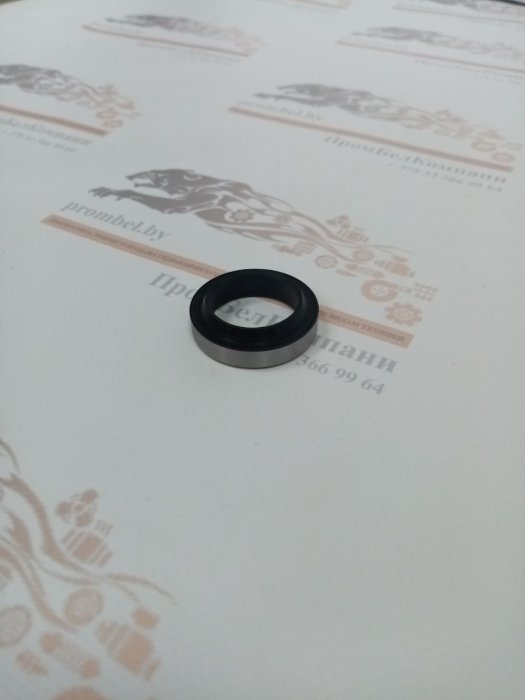 Грязесъемник R09 25х35х7/10 ( R0902500350070NG )