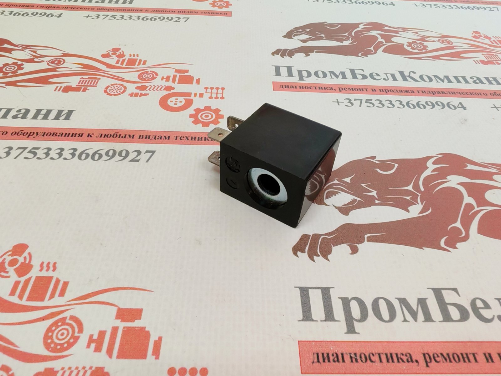 Электромагнитная катушка FESTO MSFW-24-50/60 4534 (24VAC)