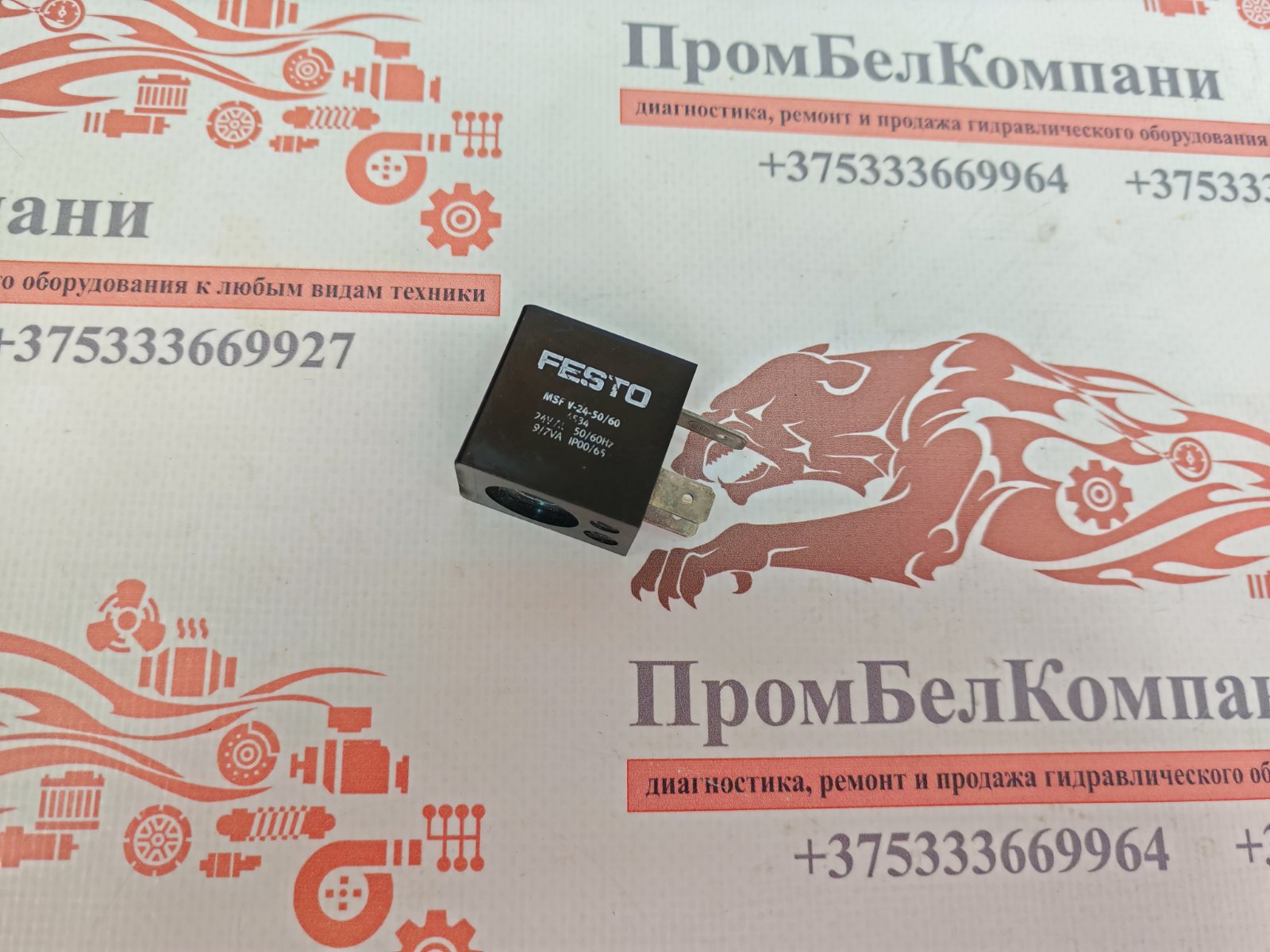 Электромагнитная катушка FESTO MSFW-24-50/60 4534 (24VAC)