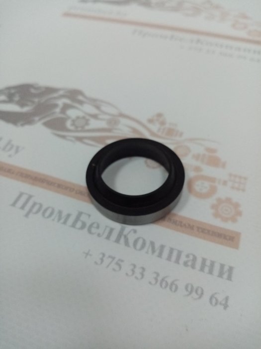 Грязесъемник Kastas K07 30х40х7/10