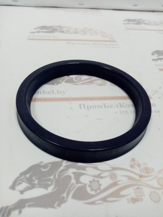 Уплотнение штока RSA 100х120х15