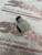 Разъем / коннектор Hirschmann 935-980-028 (739027 ) 935 980-028 / 935980028 CO GDML 2011 LED 24 HH sw