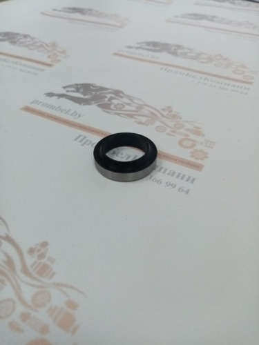 Грязесъемник R09 25х35х7/10 ( R0902500350070NG )