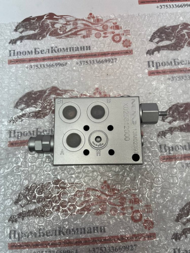 Гидрозамок NEM Hydraulics X025812000 / 13M02397 / + клапан RS10078609 / 13M02490