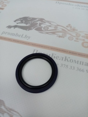 Уплотнение поршня PSO 60х49х4,2 Pur98+NBR ( PSO 0600 0490 042 CN )