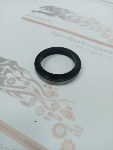 Грязесъемник R09 35х45х7/10 ( R0903500450070NG )