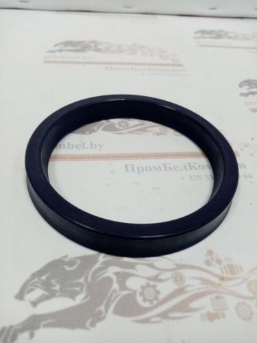 Уплотнение штока RSA 100х120х15