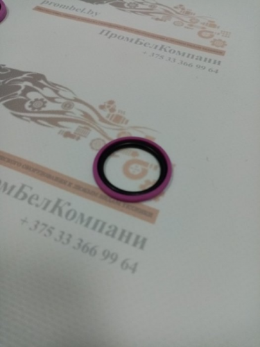 Уплотнение поршня PSO 32х24,5х3,2 Pur98+NBR